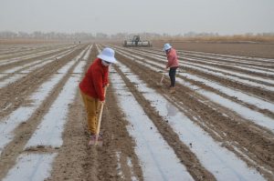 China Slams US 'Bullying' Over Xinjiang Import Ban